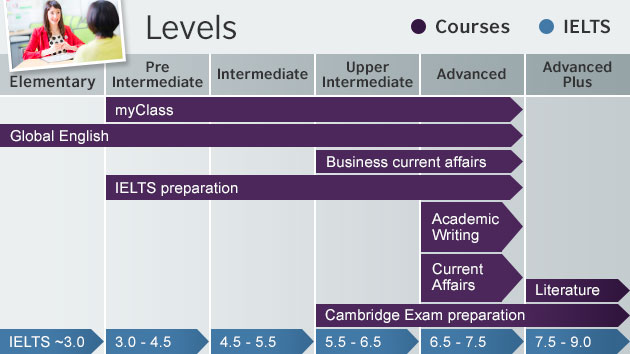 Homework and Coursework Help - TOP Services Online!